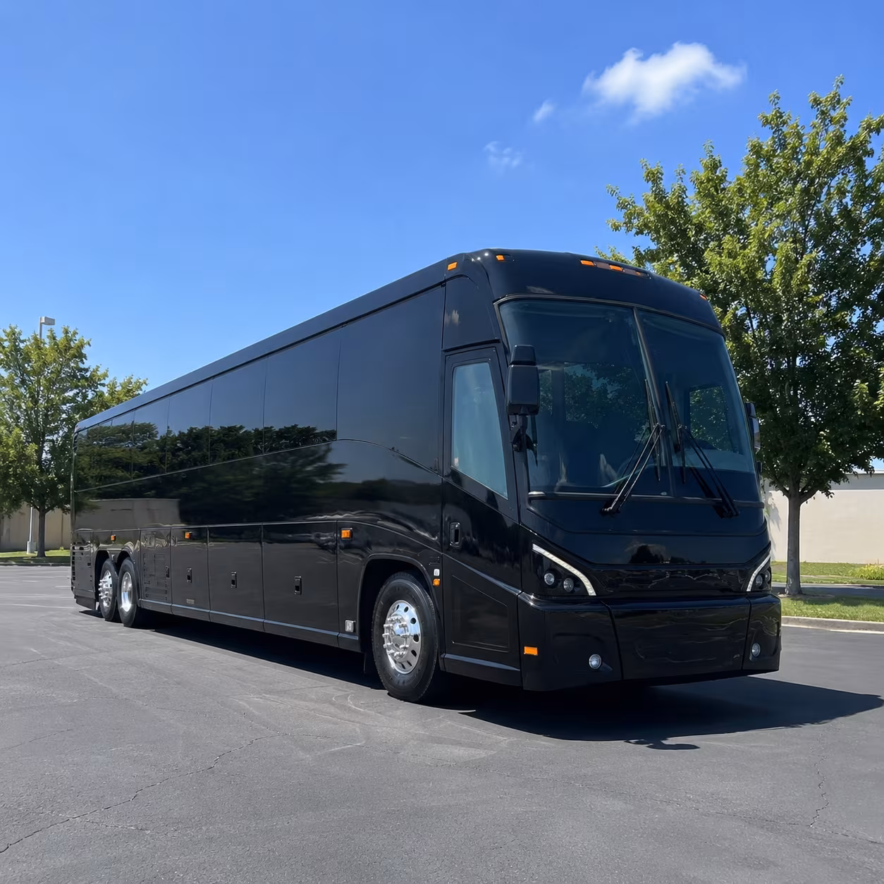 va southern nevada healthcare system group transportation